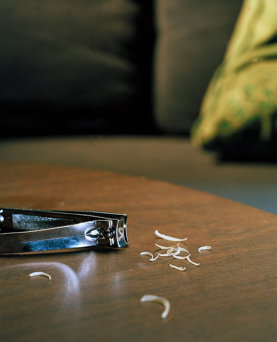 Lewis_still_life_03